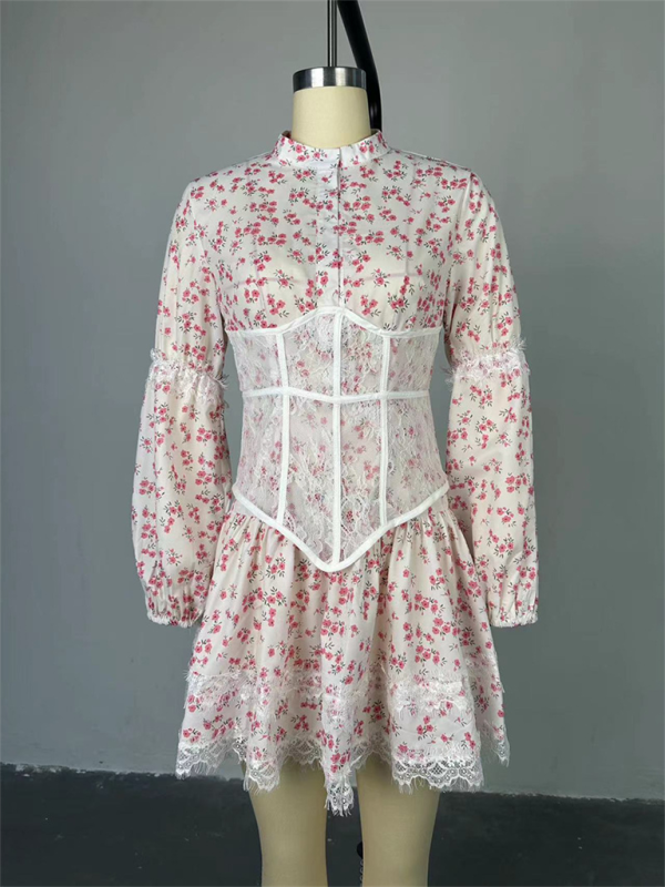 Romantic Printed Lace Waist Dress – Long Sleeve Mini in Pink & Purple