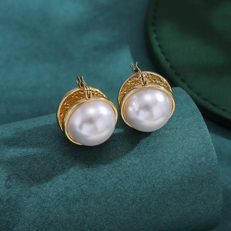 Bold Titanium Steel Large Hoop Earrings Es022