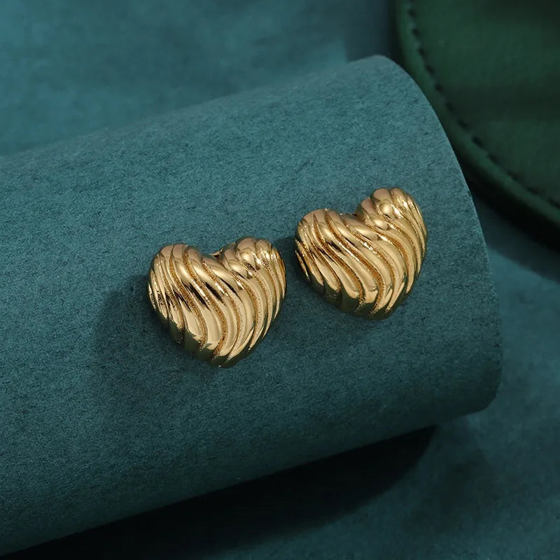 Bold Titanium Steel Large Hoop Earrings ES054