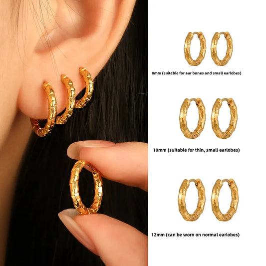 18K Gold Plated Titanium Steel Geometric Earrings