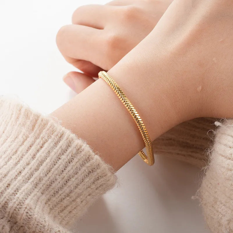 Titanium Steel Snake Bone Chain Bracelet