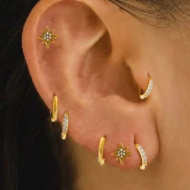 18K Gold Plated Stainless Steel Zircon Earrings