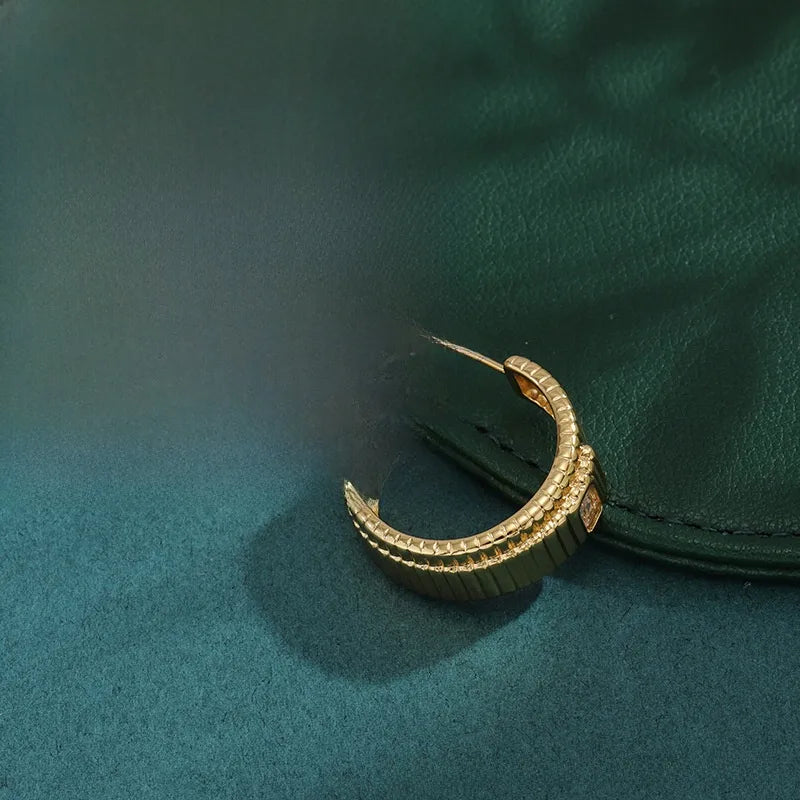 Bold Titanium Steel Large Hoop Earrings ES014