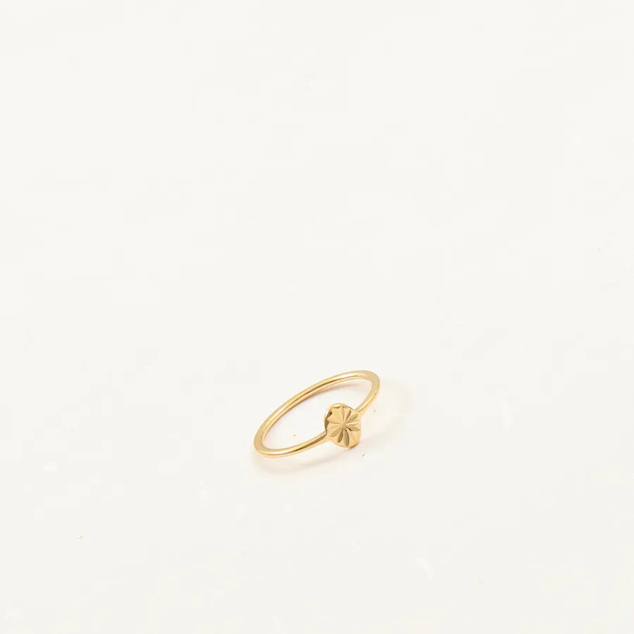 18K Gold Plated Titanium Steel Ring for Women
