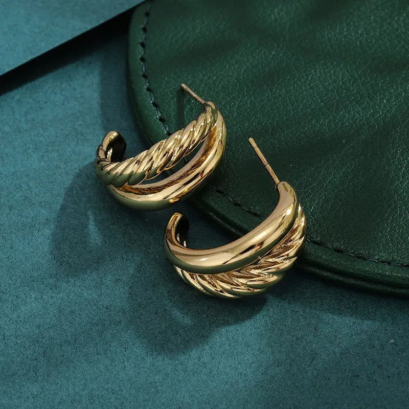 Bold Titanium Steel Large Hoop Earrings ES029