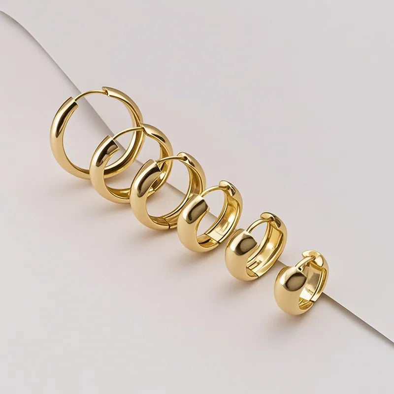 Elegant Titanium Steel Hoop Earrings