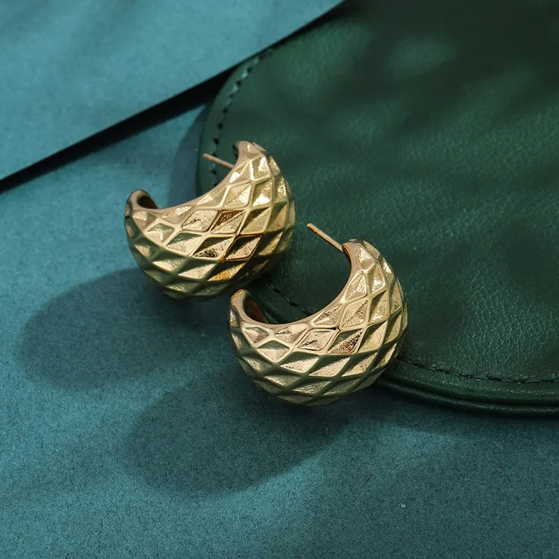 Bold Titanium Steel Large Hoop Earrings es006