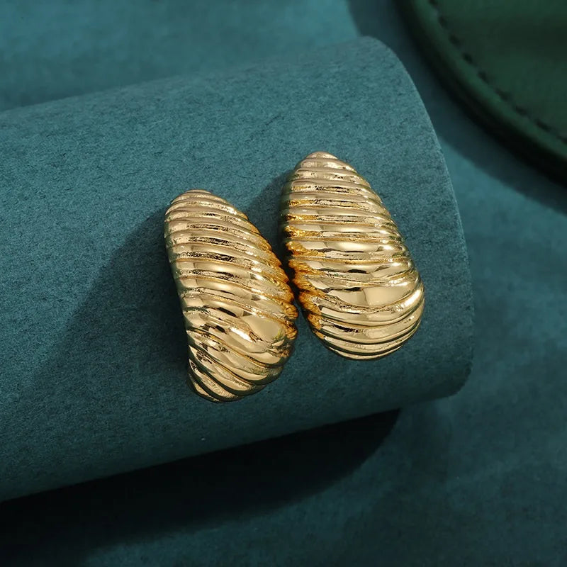 Bold Titanium Steel Large Hoop Earrings ES023