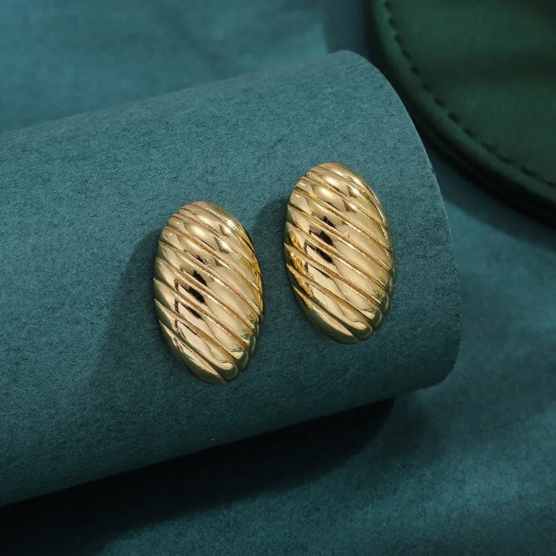 Bold Titanium Steel Large Hoop Earrings ES073