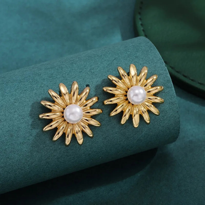 Bold Titanium Steel Large Hoop Earrings es036