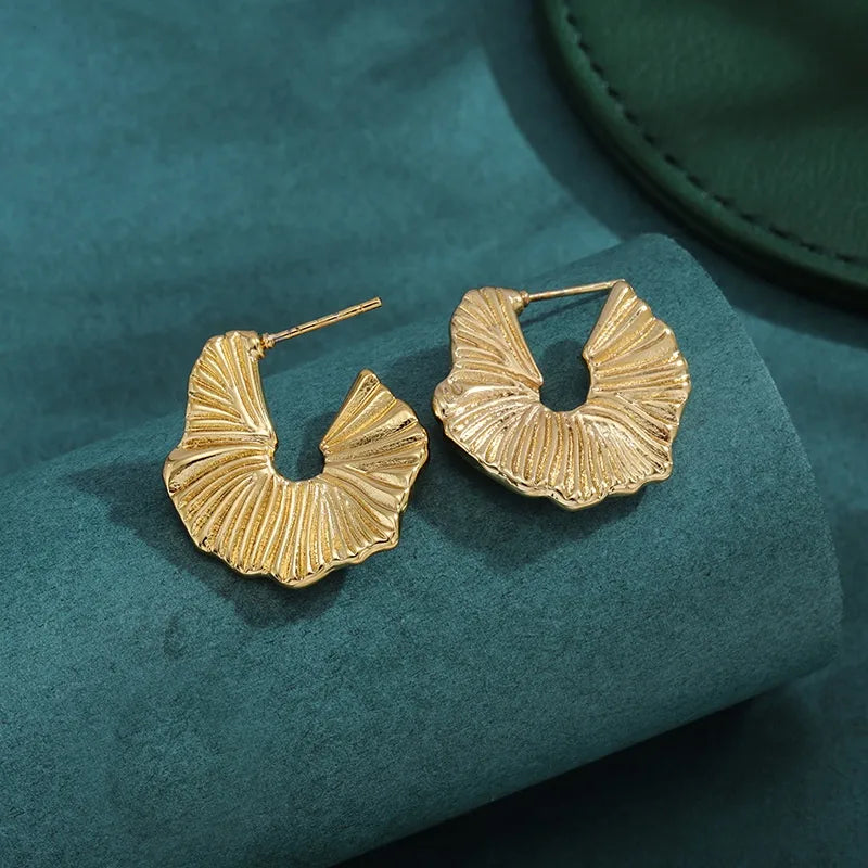 Bold Titanium Steel Large Hoop Earrings ES021