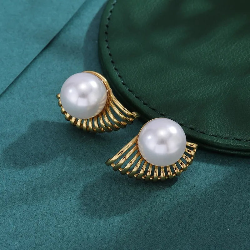 Bold Titanium Steel Large Hoop Earrings ES078