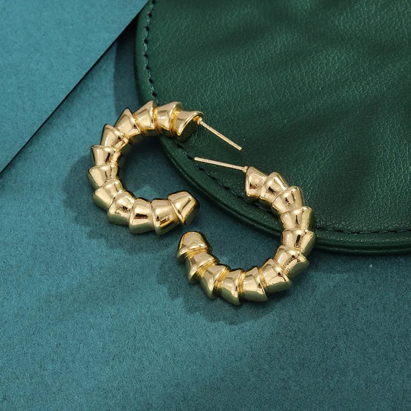 Bold Titanium Steel Large Hoop Earrings ES012