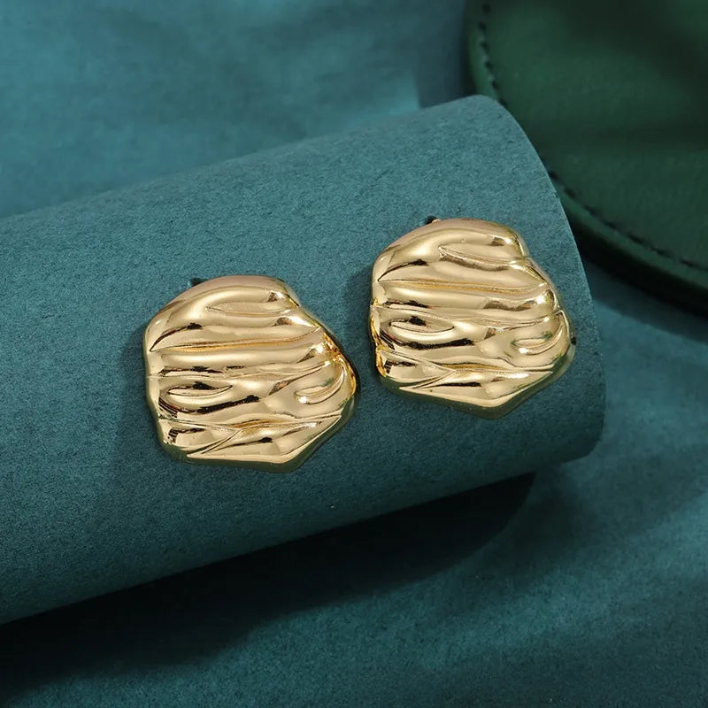 Bold Titanium Steel Large Hoop Earrings ES058