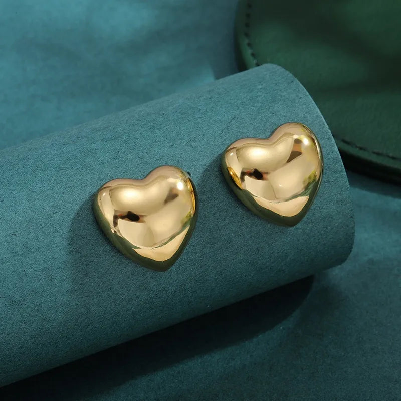 Bold Titanium Steel Large Hoop Earrings ES043