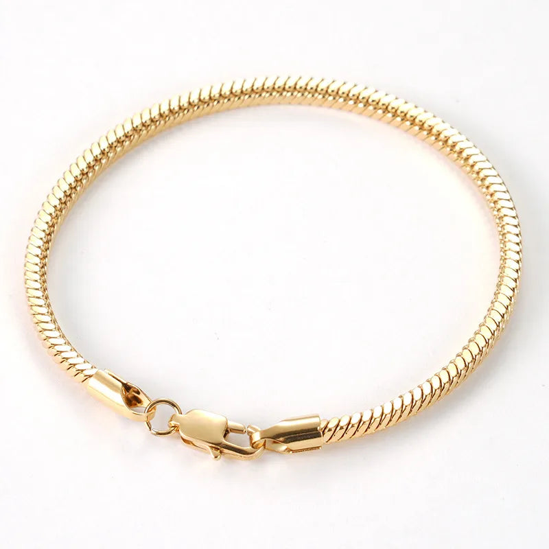 Titanium Steel Snake Bone Chain Bracelet