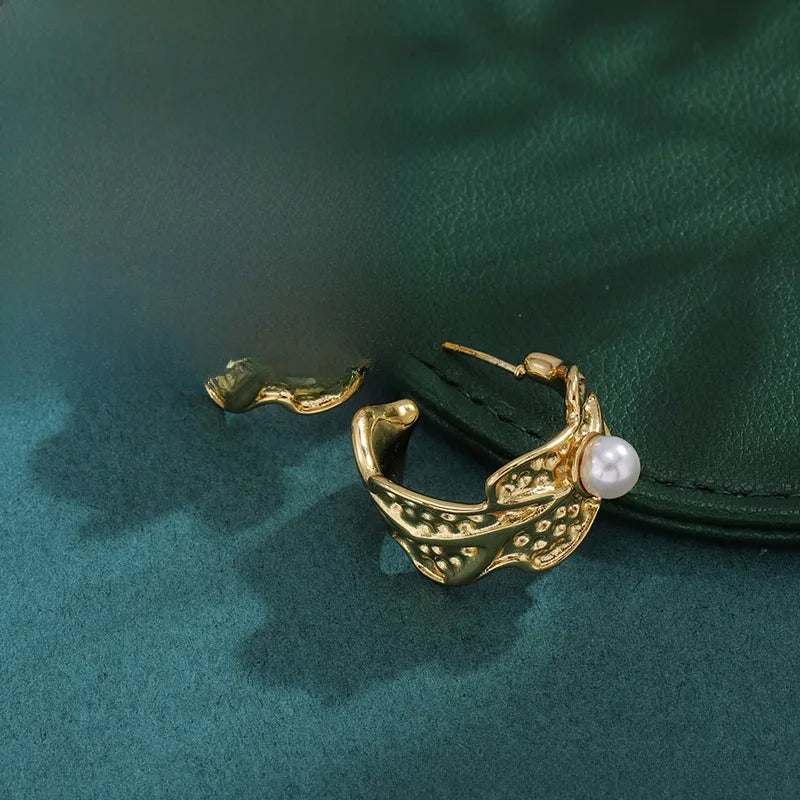 Bold Titanium Steel Large Hoop Earrings ES015